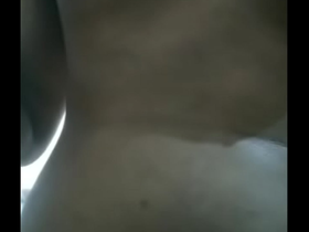 Vi-112 insert dick indoor lick man